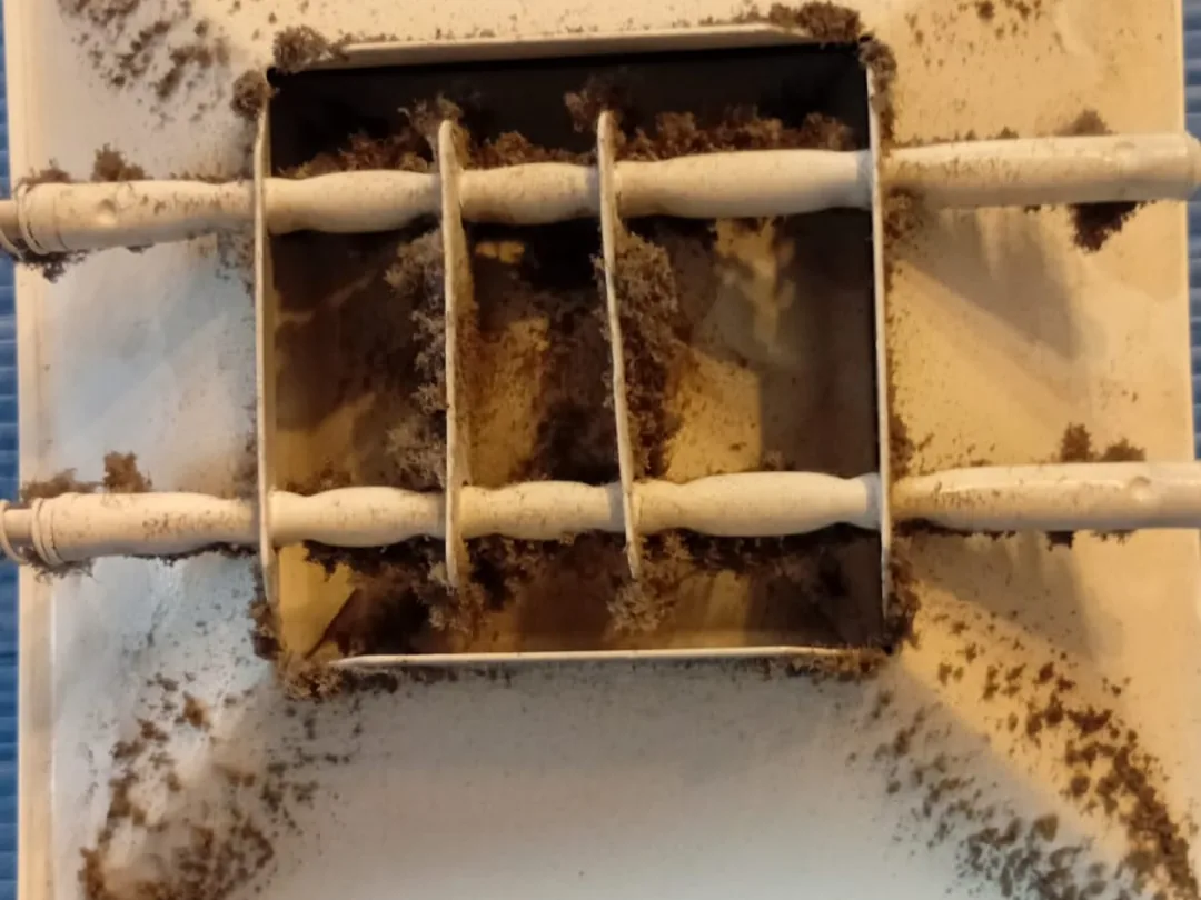 Before cleaning: an AC drain pan holding a brown sludge of damp dust and biological growth.