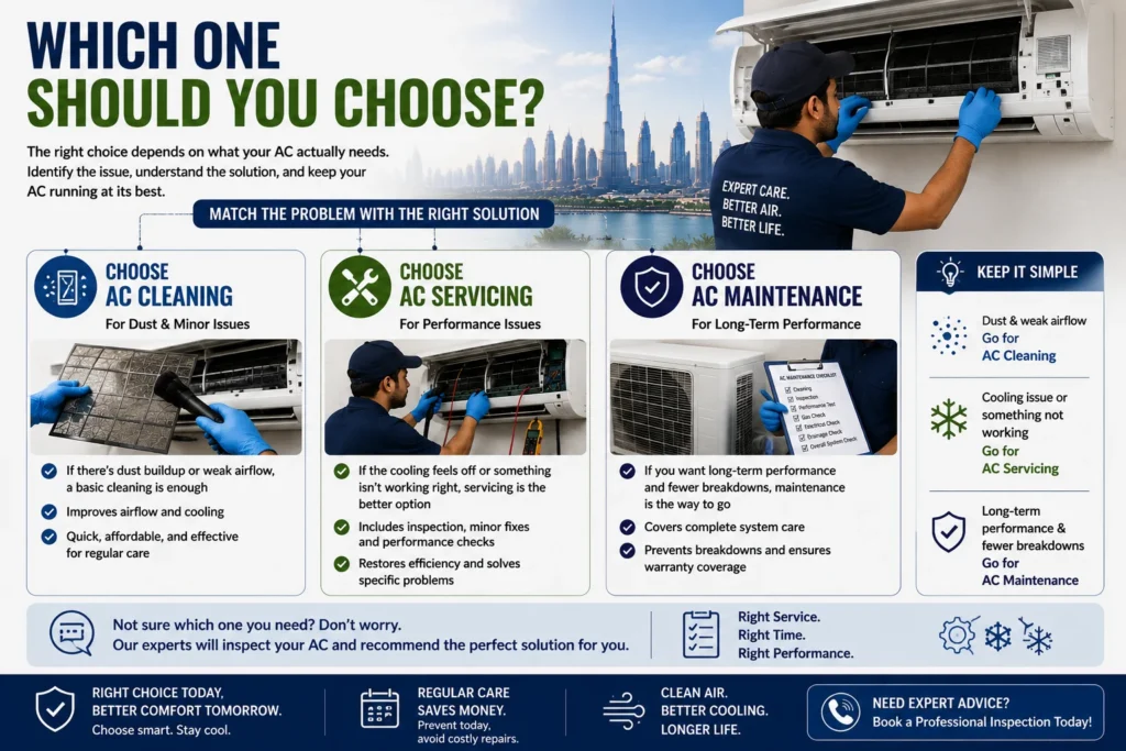 Which One Should You Choose?